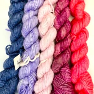 Fetch Sock Minis Dark Blue to Coral 2