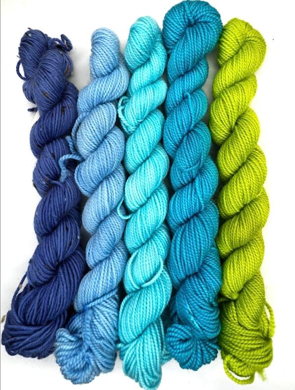 Fetch Sock Minis and Tweedy Mini Purple to Irradiate