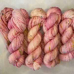 Trust 8 Ply MW Merino Springtime from my Window